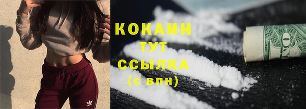 сатива Осинники