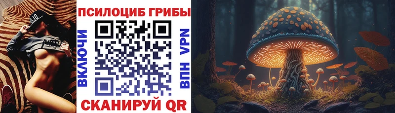 Псилоцибиновые грибы GOLDEN TEACHER  купить   Сенгилей 