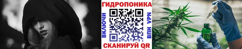 mega ССЫЛКА Сенгилей Канабис индика